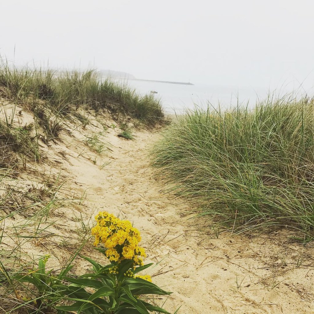 The first 4 miles of&nbsp;2019