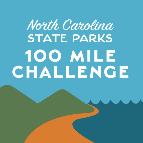 21192538_1955156054707787_360378625143675094_n